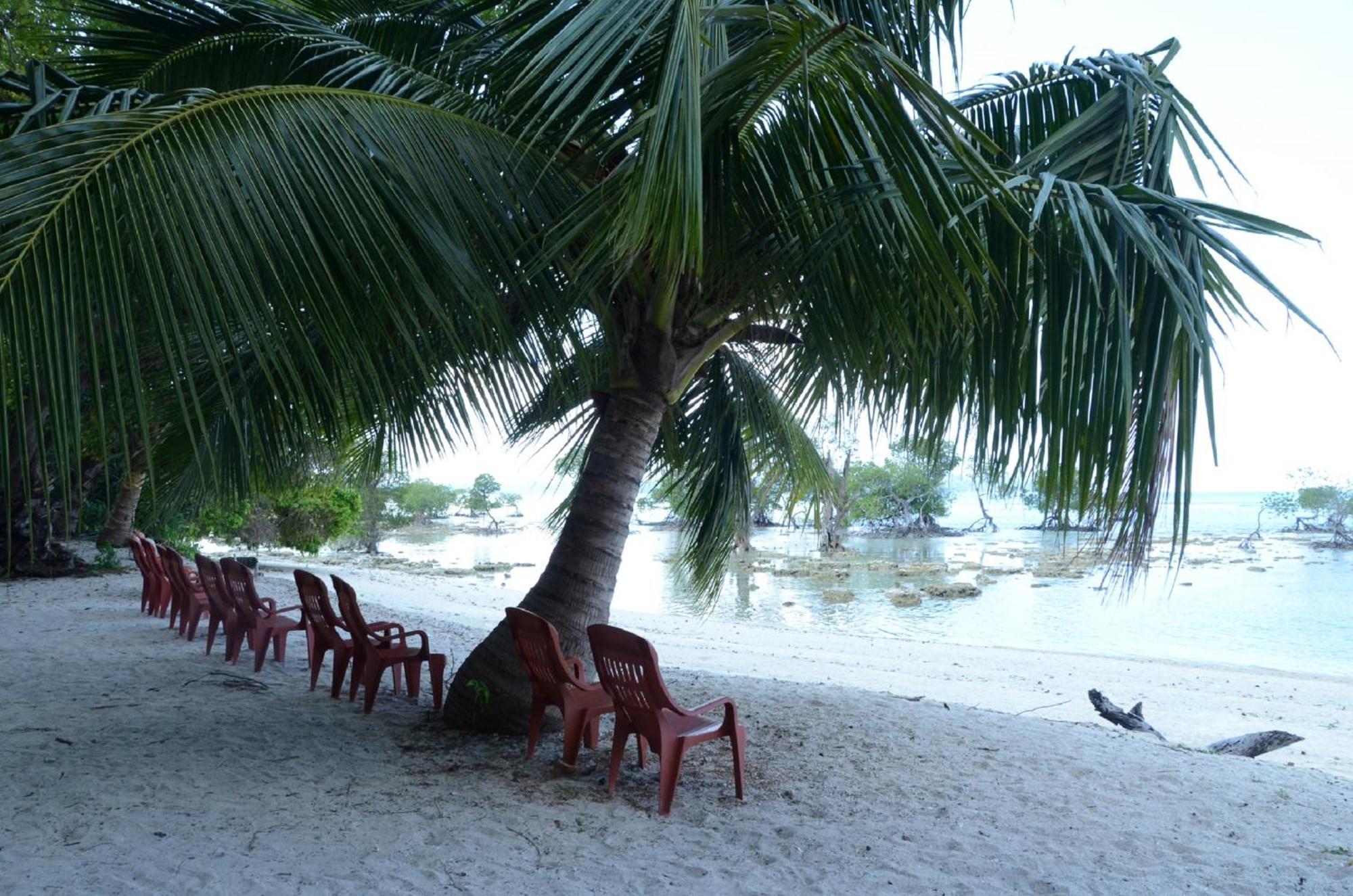 Coconhuts Beach Resort Lakshmanpur Ngoại thất bức ảnh