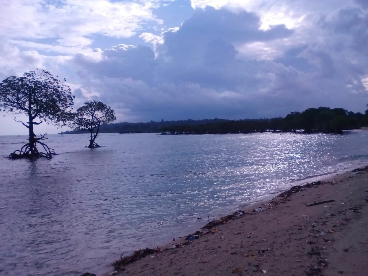 Coconhuts Beach Resort Lakshmanpur Ngoại thất bức ảnh